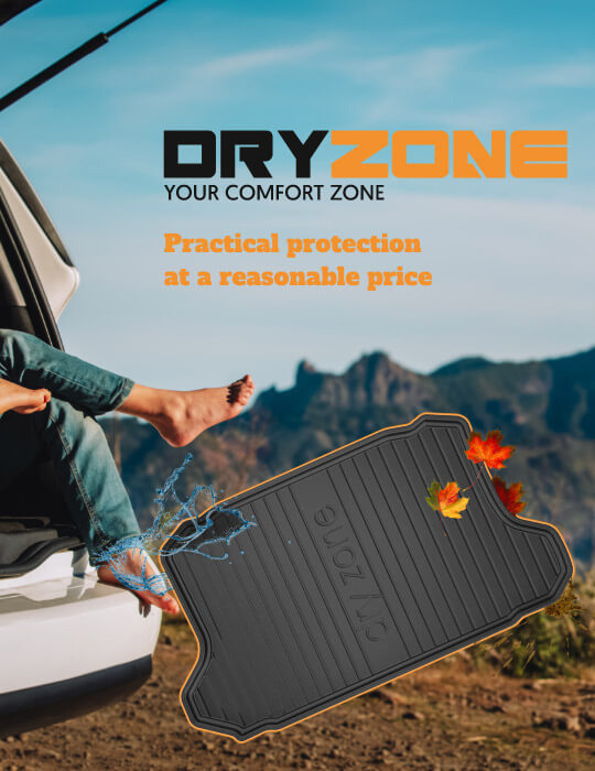 DryZone